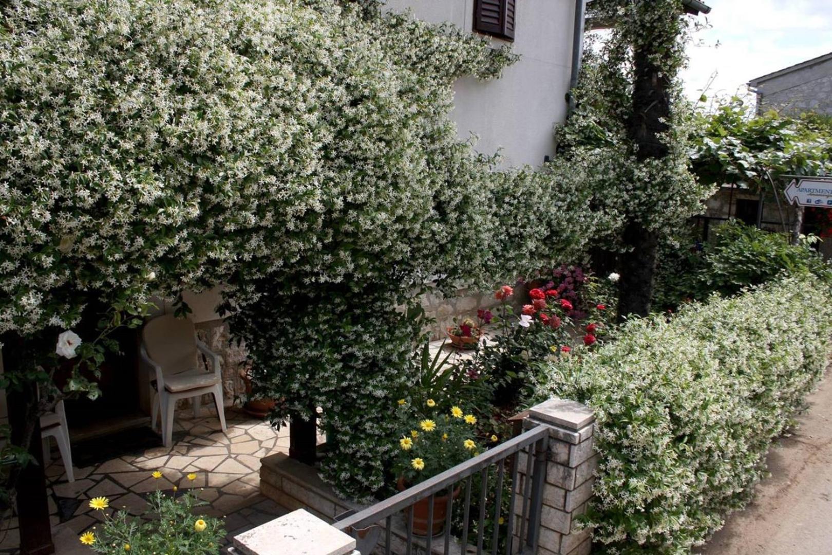 Anamarija Apartments Near The Beach And The Fantastic Adria Sea With Over 10 Small Islands Close By 푼타나 외부 사진